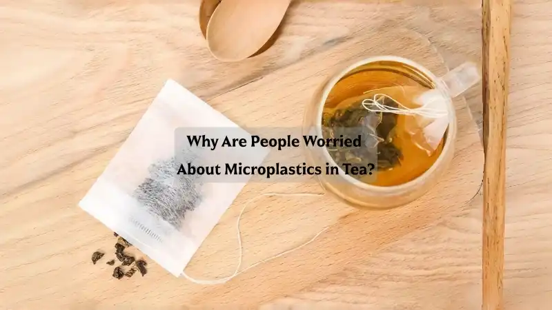 Why Are People Worried About Microplastics in Tea?